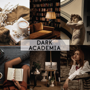 Dark Academia Lightroom Preset 