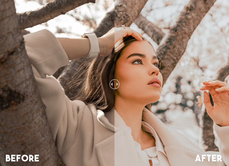 Influencers Lightroom Preset