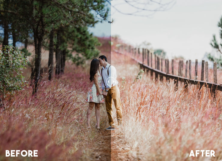 Natural Lightroom Preset